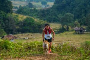 BIB: 
                            <button type="button" onclick="openModal(16010295)" class="btn btn-primary btn-sm float-right btn-popup" data-toggle="modal" data-target=".modal-high-quality">
                        <i class="fas fa-shopping-cart"></i> Add to Cart
                    </button>
                                            <button type="button" onclick="isThisMe(16010295, true)" class="btn btn-success btn-sm float-right btn-popup btn-isme hidden" data-toggle="tooltip" data-placement="bottom" title="นี่คือรูปของคุณใช่ไหม คลิกที่นี่เพื่อเอาเข้าอัลบั้ม">
                        <i class="fas fa-plus"></i> Add to album
                    </button>
                    <button type="button" onclick="isThisMe(16010295, false)" class="btn btn-warning btn-sm float-right btn-popup btn-isnotme hidden">
                        <i class="fas fa-ban"></i> Remove from album
                    </button>